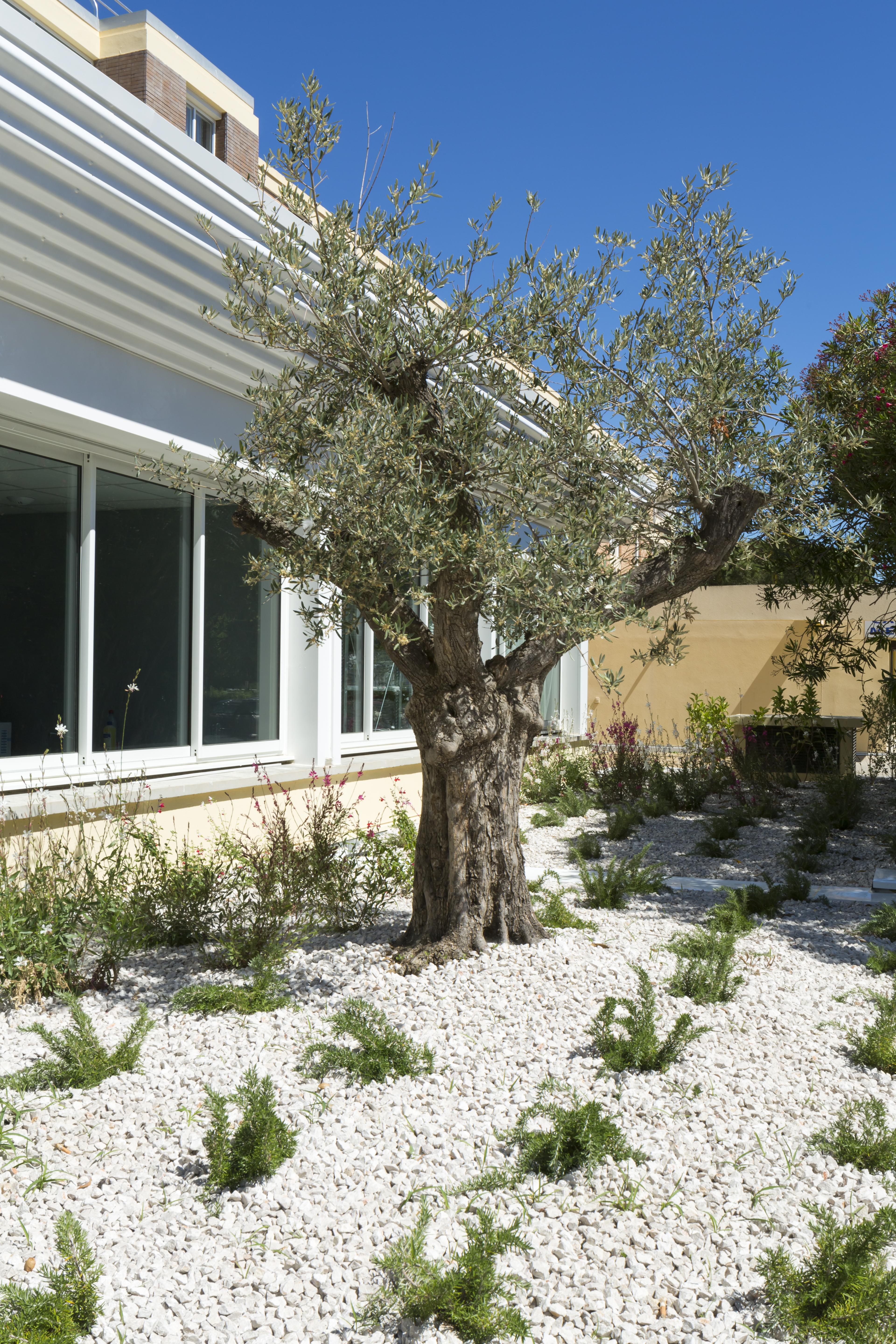 Logis Hotel Les Pins - Operalia Balaruc-les-Bains Kültér fotó